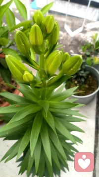 520快乐❤️爱自己，是终身浪漫的开始。接纳平凡与不完美，便是自信的起点。感恩平台，让我们倾诉心绪；感恩相遇，温暖相伴。
#520爱自己 #自我接纳 #治愈日常