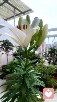 情绪向内安顿，生活向外生长🌱
好好爱自己，照顾好内心，一切都会慢慢顺起来!配图