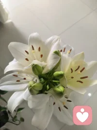 不知道你有没有发现：
人在独处时，很容易陷入情绪内耗，反复纠结、胡思乱想，把烦恼无限放大。
可有时候朋友一通突然的电话，几句轻松闲聊，不用讲道理、不用解决问题，只是简单的人际联结，聊着聊着，坏情绪就悄悄消散了。
 
从心理学角度来说，负面情绪最怕孤独反复反刍。
一个人闷着，大脑会不断放大焦虑与低落；而与人交流、产生联结时，注意力被转移，情绪被承接，内心会重新获得安稳。
原来治愈情绪最好的方式，从来不是硬扛，而是别把自己封闭起来。配图