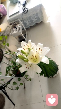一天的开始，送给大家一句心里话：不要反复纠结过往，不要过度预判未来。活在当下，稳住情绪，就是最好的生活状态。配图