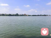 道理全都懂，偏要沉溺错处寻新鲜感，是心理成瘾，欲望牵着理智走。
忠告：
① 远离诱惑源头，断掉能轻易触发冲动的人和事，物理隔绝最管用；
② 冲动上头时立刻抽身离开现场，暂停10分钟，多数欲望会自然降温；
③ 正视内心空缺，贪恋刺激大多是内心匮乏，填补情绪缺口，才不会依赖错误续命。