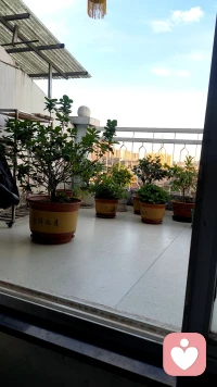 我们总觉得别人在盯着自己、留意自己的小失误，但其实大家根本没那么关注你。
 
举个例子：出门衣服穿反、当众说错话、走路不小心绊倒，你会尴尬好久，觉得所有人都看见了。可实际上，旁人转头就忘，没人会一直记着你的小窘迫。
 
日常用处：遇事放轻松，不用过度在意他人眼光，大大方方做自己就好。