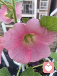 我们总容易对未知感到不安，不自觉脑补各种糟糕的画面，这便是灾难性思维。其实生活很少会走到绝境，大部分风雨，都是自己内心制造的阴霾。放宽心，顺其自然就好。配图