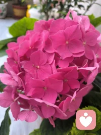 总在深夜恐慌焦虑，白天浑浑噩噩胡思乱想，
无数烦恼全都来源于原地不动的内耗。
脑子里脑补无数糟糕结局，反复纠结人际、未来、遗憾，
却迟迟不肯迈出一小步行动。
 
心理学里常说：行动，是治愈精神内耗最好的解药。
不用制定宏大计划，晨起完成一件小事，记录时间、读书、沉淀自己；
把胡思乱想的精力，换成实实在在的付出。
当你忙着向前走，那些无端的恐惧、纠结、灾难化思绪，自然会慢慢消散。配图