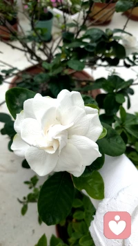 分数决定一时，心理健康治愈一生。
比起追求完美成绩，呵护孩子的情绪、滋养他的内心，才是父母最重要的功课。配图