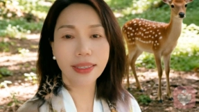 鹿姐倾听