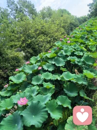 身边有家人爱护，却依旧深陷孤单无力，大概是很多人的常态。
生活有人相伴，情绪无人共鸣，积攒的委屈闷在心底，时常胸闷压抑，想哭又找不到缘由。
 
不用一个人硬撑所有负面感受，倾诉是很珍贵的释放途径。
将心底所有脆弱、抗拒、疲惫全盘说出，被好好接住的那一刻，内心拉扯的紧绷会慢慢消散。
允许自己流露脆弱，好好倾听自己，也是一种自愈。配图