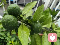 雨天最适合做什么？
不必强迫自己向外奔赴，下雨本就是大自然留给人向内松弛的缓冲期。
 
不必逼自己高效自律，允许情绪跟着湿气轻轻舒展：
泡一杯温热饮品，翻看搁置很久的书，听舒缓轻音乐，窝在沙发放空发呆；
也可以安静梳理心里积压的烦躁、内耗，客观接纳当下所有负面心绪，不抗拒、不苛责自己。
 
外界喧嚣被雨声隔绝，刚好守住内心温柔边界。先疏导自己起伏的情绪，再慢慢与生活和解，慢下来，也是一种自愈。配图