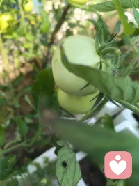心烦意乱的时候总容易焦虑内耗，不必逼自己一口气解决所有难题。
沉下心把手边细碎小事一件件做好，整理桌面、炖一锅甜汤、好好招待朋友。
微小的完成感会慢慢抚平浮躁，稳住节奏，慢慢来，一切都会顺利!