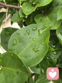我们抱怨生活的烦恼的时候，其实生活在善待我们，想想战火纷飞的国外，至少我们可以舒舒服服在家里吃一口热乎饭，洗个热水澡，可以看看我们喜欢的电影，电视，不用过提心吊胆的日子，如果还有烦恼，还可以找倾听师聊一聊，感谢上天给予我们的平安健康，顺顺利利的日子!!