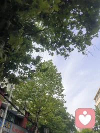 炎炎夏日，燥热不止藏在空气里，也藏在容易紧绷的心底。
不必逼自己时刻清醒自律，允许偶尔放空发呆，接纳所有烦躁与不安。
心稳住了，自有一阵清风，抚平所有暑气与内耗。