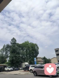 世界上有两种快乐!一种是开心的笑，一种是睡个好觉!希望你两样都拥有!