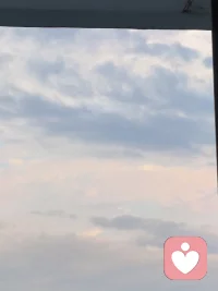 给我家的小狗理个发，自己操刀也有理发师的成就感!