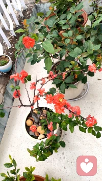 当谨慎从一种做事方式变成一种情绪状态的时候，量变已经发生了质变。你不再是在为事情负责，你是在对抗某种内在的、你自己也说不清的东西。