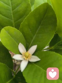 我们花了太多的时间抗拒和压抑自己的情绪，而不是让它们自由地流经我们!