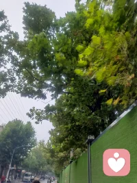 一段关系能不能走得长久，看的不只是柴米油盐。
而是当你情绪低落的时候，对方会不会愿意接住你的感受。
 
很多时候，我们不需要对方解决所有问题。
只需要一份懂得，一份共情。
比起道理，人心更需要被温柔对待。