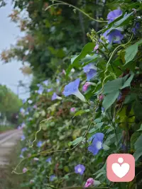 女孩子最容易在感情里内耗：
处处体谅，独自消化难过，总在反省自己。
 
不要拿懂事去换偏爱。
不被珍惜的时候，记得收回自己的真心。