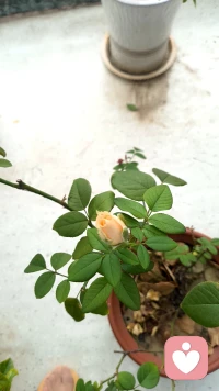 心怀悲悯是天性，守住边界是修行。
不是所有苦难，我们都有能力去救赎。
善待他人之前，请先善待保护好自己。