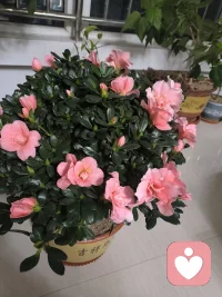 有的人相信，她只有受苦，才值得被爱配图