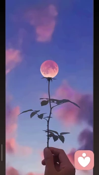  不必强迫自己阳光开朗，阴影也是你生命的一部分。在我这里，你可以哭，可以累，可以不完美。你的感受，永远最重要。配图