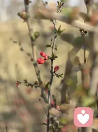 你是自己的宇宙，不必借谁的光。配图