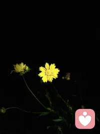 各种关系都是相互的。你给她珍惜，她还你值得，你给她距离，她还你分寸。。。配图