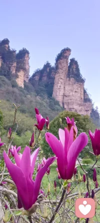 美好的回忆要常常回忆，别把它忘了。。。