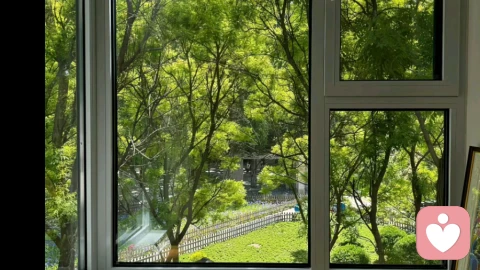 以温柔赴时光，以工作疗愈人心