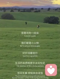 生活的本质便是平淡与知足配图