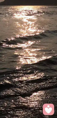 不必追逐别人的轨迹，你认真生活的样子本身就在发光。晨起的一缕阳光、路边的小花、完成的小目标…都是生命的馈赠。