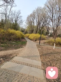 春暖花开时，心情愉悦，事事如意配图