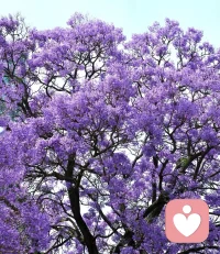 世上最暖最温柔的风，是我懂你。这个世上有人理解你的所有，无论是成败得失、还是心酸苦楚……都懂配图