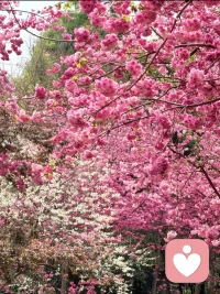 无论和任何人的关系，都是你与自己的关系的清晰真实投射，爱好自己是最重要的事。每天都要露出最好看的笑容，你笑了整个世界都笑了。配图