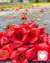 幸福很简单，简单很幸福。
在匆忙的岁月里，想要获得幸福也
很简单。

第一，放松，放松，再放松，直到把自己放空。
第二，随时随地好好抱抱自己，你已经很优秀
          很棒了！不用和任何人去比，在你的世界里
          你足够好，足够完美。
第三，放过自己，你已经尽力了。你是独一无二的
           生命体，好好欣赏自己。配图