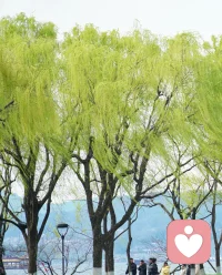 不要嫌路远，只要心能到达的地方，脚迟早可以抵达。
你只需勇敢的迈出第一步。配图