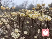 你的心情很贵
时间很贵
你的金钱与能量同样很贵
不要和任何一个不对的人纠缠
因为你浪费不起
