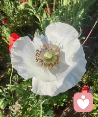 不要去羡慕谁
或许你不知道别人
也正在羡慕着你
每个人都有自己的
酸甜苦辣咸

你所羡慕的某人或某事
你未必能承受的了
他世界的痛