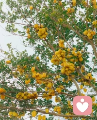 无论发生了什么，第二天的太阳依旧会升起，不用担心、不用顾虑。你只需好好做好自己。你好了，你的整个世界就会越来越好。