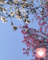 如果你每天都活的安静、恬适、怡然自得，那说明你早已放过了自己。