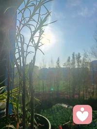 午夜梦回，我们总爱回首半生，那些未竟的梦、错过的人、遗憾的选择，像潮水般涌来，让人满心怅然。
 
幼年时，我们总爱幻想远方，以为那里有诗和自由，却不知那憧憬的尽头，不过是背井离乡的漂泊，是在人海中独自浮沉的孤独。
 
青年时，我们渴望快快长大，盼着能为父母分担辛劳，完成他们未竟的梦想。可当我们真正长大，才发现自己不过是父母人生的延续，在平凡的日子里，重复着同样的柴米油盐。
 
直到中年，我们才开始真正思考：人活一世，究竟为了什么？原来，所有的经历，都是为了让我们觉醒。当我们开始领悟时，人生已过半，却仿佛才刚刚长大。
 
恍惚间，一个春日清晨，春雨打落了一地叶子，春风拂乱了秀发。那一刻，我们如梦初醒：人生本就是一场修行，所有的遗憾与失落，都是为了让我们看清内心的方向。
 
如果有下辈子，你还愿意来人世间走一遭吗？配图