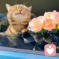 走出焦虑抑郁最好的方式：不是运动，不是吃药，而是这个！

《大学》里面有这样一句话呀，说的非常好：“物有本末，事有始终”。

就是告诉我们，解决问题，如果能抓住根本，那再难的问题，都可能迎刃而解。

回到焦虑抑郁这个事来讲，道理一样。如果能抓住其根源，那么走出焦虑抑郁的方向自然也就清晰。

从个人长期实修的经验和观察来看，走出焦虑抑郁阴霾，最好的方式：不是运动，也不是吃药，核心是：开源节流。

1. 焦虑抑郁的根源在哪？

每个人的情况不一样，有些人是长期的关系不和谐，比如常见的夫妻关系，婆媳关系，或原生家庭导致的焦虑抑郁；

而有些呢则是一些突发的一些创伤经历：比如生意上的失意，工作上遇到瓶颈，或者身体遭遇重创等。

每个人有每个人的苦，但其实说回来，那焦虑抑郁的根儿到底是什么？其实剥开各种表象不谈，核心就两条：

① 持续的内心冲突：经历过焦虑抑郁的人，心里一定憋着事儿，卡着一段关系，长时间解不开，化不掉，成了死结。

② 身心能量过低： 焦虑抑郁的朋友，一定和内在的身心能量过低，如同“电池”电量低了，没劲儿了。

当这两个条件同时发生，加上自我的一些认知偏差，焦虑抑郁的土壤也就形成了。

2. 为啥说运动、吃药、强制正念不是最佳解？

虽然运动很好，运动时能产生“快乐物质”内啡肽，还能转移注意力。

但问题是，它有个缺点：不够稳定！另外对于有些中重度抑郁焦虑患者，坚持运动本身就是一种“压力”。因此运动依然有一定的局限性。

而吃药呢？大家都知道，在专业指导下，急性期药物确实能够缓解。但很多人如果停药，可能会反复或产生依赖性。因为药物它依然没解决心能枯竭和内心冲突这个根本层面。

正念呢？虽有益，但有些朋友却违背身心感受，强行要求自己保持积极或不害怕的强迫性思维？这个也是我曾经的误区！其实正念不会凭空消失，也不会凭空而来。

如果你能量低迷，还硬逼着自己“豁出去”、“不害怕”，本质上就是用自己的意识去对抗另一个意识，两股力量在打架！

时间一长，这种精神内战可能会加剧你内心的冲突和消耗！

3. 走出焦虑，抑郁的核心是：“开源节流”！

开源方面：给“心电池”充电！核心就是提升你的身心能量，这才是根基，是动力源！

如何充电呢？最基础也最重要：调整饮食结构，打好身体基础；练好呼吸，打开能量通道。

这是实打实的能量积累，我们改变不了外界，但却可以专注于内在能量配图