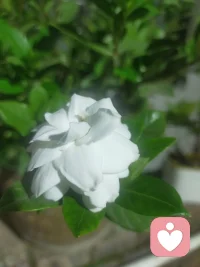 我在乎的人有很多
你在其中
名列前茅
温柔陪聊——我在等你配图