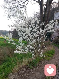夜深了，城市安静下来，心事却还醒着。
在给力倾听，我在线接单。
不评判、不打断、严格保密，做你安全的情绪树洞。
委屈、压力、失眠、迷茫，都可以慢慢说。
你说，我听，陪你把情绪轻轻安放，好好睡一觉。配图