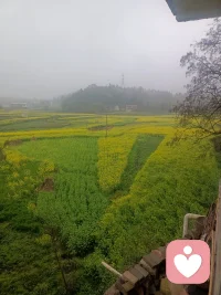 深夜还没睡的你，是不是心里藏着好多话？
委屈、压力、烦恼、没人懂的情绪，都可以跟我说。
不评判、不打断、不泄露，只做你专属的倾听者。
安静陪伴，耐心倾听，把情绪慢慢放下。
愿你在这里，被温柔接住。配图