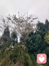 ✅ 在线接单｜随时可聊
✅ 情绪疏导｜压力释放
✅ 情感陪伴｜倾听解惑
✅ 严格保密｜文明沟通
靠谱倾听，温暖陪伴，给力守护你的情绪配图