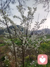 夜晚在线接单｜做你温柔的情绪树洞
白天戴着面具生活，晚上只想卸下疲惫
不评判、不打断、不劝酒、不讲大道理
认真倾听，耐心陪伴，秒回不消失
情感困扰、工作压力、心事委屈、失眠emo
都可以放心说，全程保密，安心倾诉
此刻我在，随时等你配图