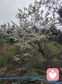 深夜倾听在线，情绪垃圾我帮你收。难过、迷茫、孤单都没关系，我一直都在。配图