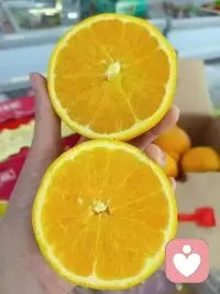  认真生活，就能找到生活藏起来的糖配图