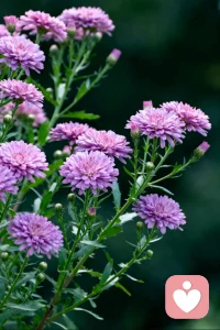 痛苦本身或许无法避免，但我们面对痛苦的态度，却可以选择。生活不会因我们的脆弱而停下脚步，但我们却可以选择如何面对它，如何让自己在困境中反弹。配图