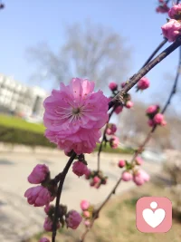 你有没有听过这句话：“你什么都没干过，有什么累的？”
是啊，在他们看来，把你生下来，给你吃穿，你就该像温室里的花朵一样轻松长大。
但真相是，如果你的家不是港湾，那对你来说，活着本身就是一场战争。
父母没有活在爱里，孩子就只能活在生存的焦虑里。
那种焦虑，会刻进你的骨头、肌肉、神经里。
等长大了，它就变成了：
一紧张就拉肚子，一焦虑就失眠，一难过就全身痛。
身体从不说谎，它只是用生病的方式，为你童年的恐惧，一次次地报警。